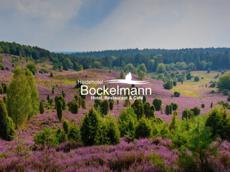 AHGZ vom 09. März 2013: 